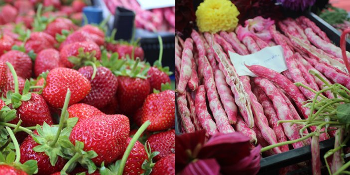 Çilek ve barbunya festivali düzenlendi