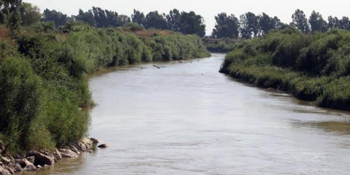 Aydın'da atıyla nehre giren gençten haber alınamıyor