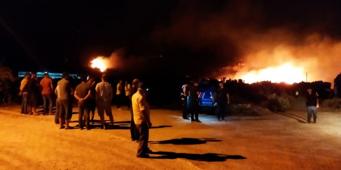 Aydın'da ormanlık ve zeytinlik alanda çıkan yangın kontrol altına alındı