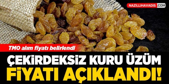 Cumhurbaşkanı açıkladı! Çekirdeksiz kuru üzüm fiyatı belli oldu