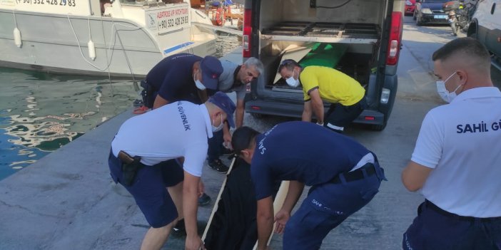 Aydın'da Yunanistan unsurlarınca geri itilen göçmenlerden 1'i öldü, 6'sı kurtarıldı