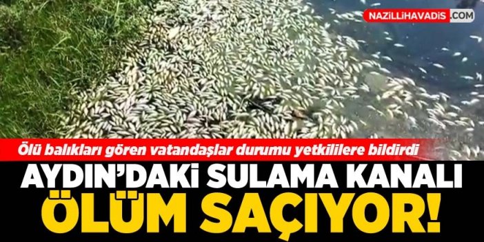 Aydın'daki sulama kanalı ölüm saçıyor!