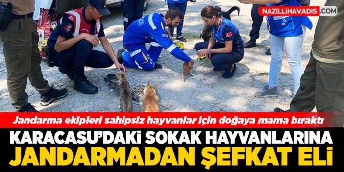 Sokak hayvanlarına jandarmadan şefkat eli