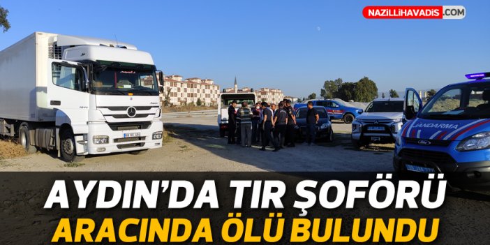 Aydın'da tır şoförü aracında ölü bulundu