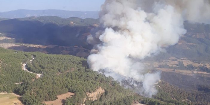 Denizli'de orman yangınının söndürüldüğü bölgeye yakın konumda yeni bir yangın başladı