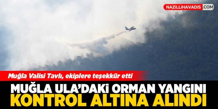 Muğla Ula'daki orman yangını kontrol altına alındı