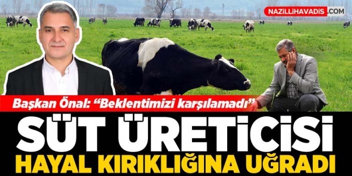 Süt üreticisi hayal kırıklığına uğradı