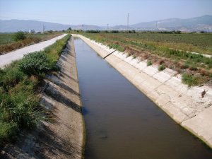 Söke Ovası'nda Kanal Temizliği Başlıyor