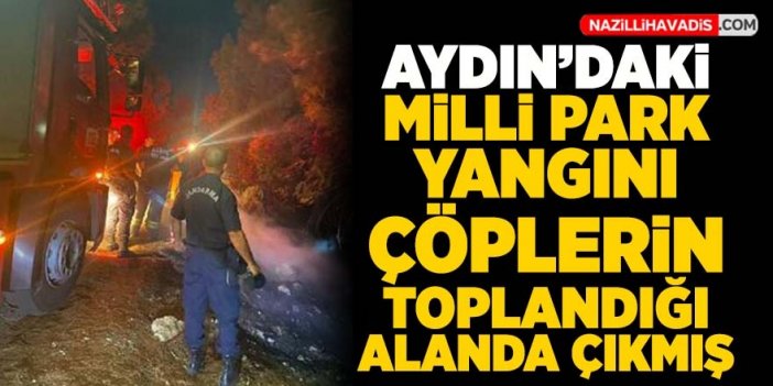 Milli Park yangını çöplerin toplandığı alanda çıktı!