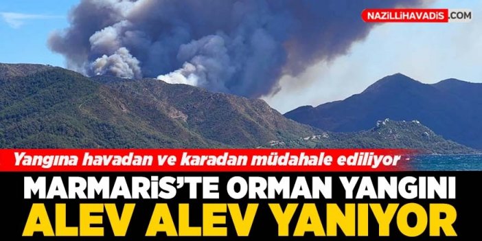 Marmaris'te orman yangını başladı