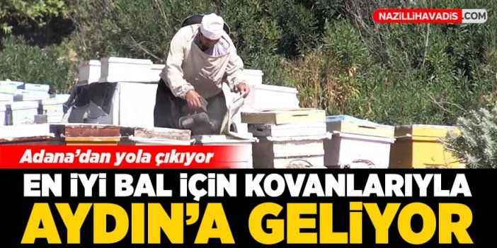 Gezgin arıcı "en iyi bal" için kovanlarıyla il il dolaşıyor