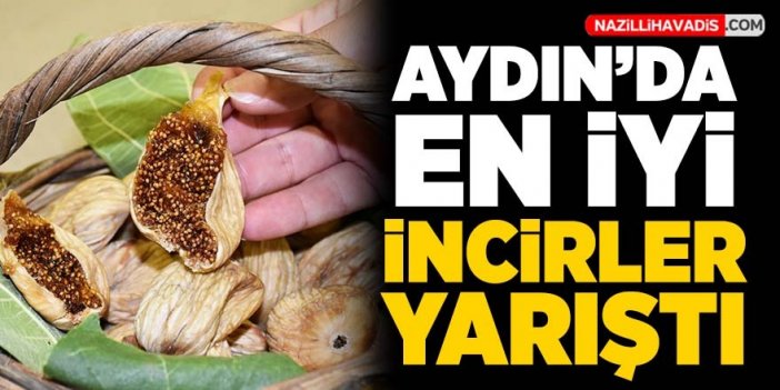 Aydın'da en iyi incirler yarıştı