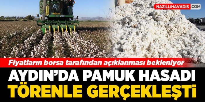 Aydın'da pamuk hasadı törenle gerçekleşti