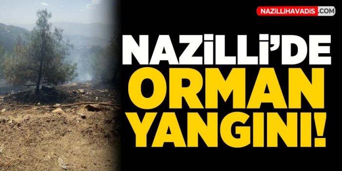 Nazilli'de orman yangını