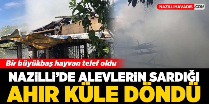 Alevlere teslim olan ahır küle döndü, bir hayvan telef oldu