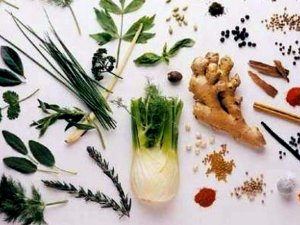 Tıbbi ve Aromatik Bitki Yetiştiriciliğine Yüzde 50 Geri Ödemesiz Hibe