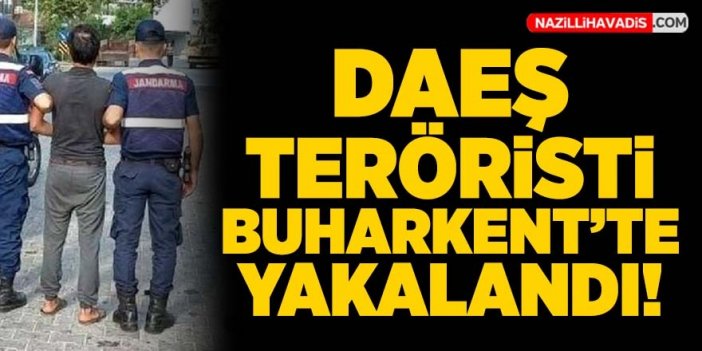 Buharkent'te terör operasyonu: 1 kişi tutuklandı