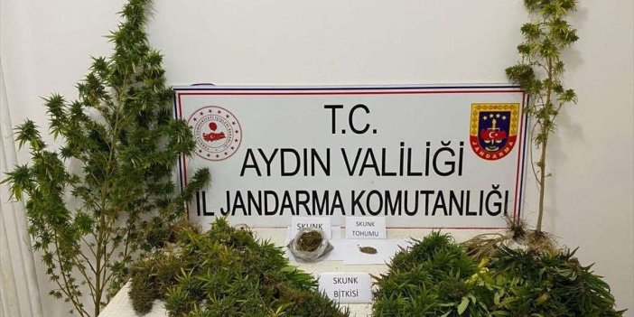 Yenipazar'da eve uyuşturucu baskını! 1 gözaltı