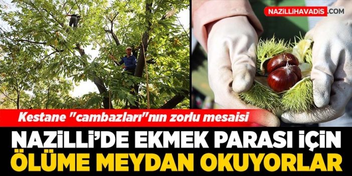 Ekmek parası için ölüme meydan okuyorlar!