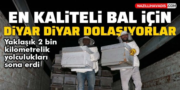 Arıcıların en kaliteli bal için son durağı Kuşadası oldu