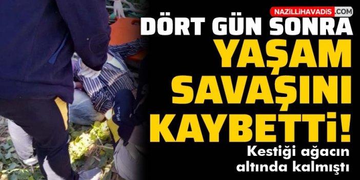 Kestiği ağacın altında kalan kişi yaşam savaşını kaybetti