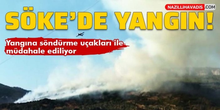 Söke'de makilik alanda yangın çıktı