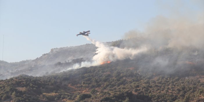 Söke'de makilik alanda çıkan yangın kontrol altına alındı