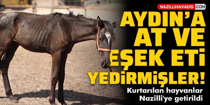 Aydın'a bunca zaman at ve eşek eti yedirmişler!