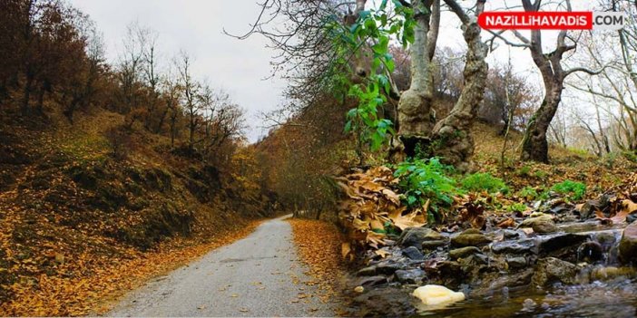 Nazilli'nin gölet ihalesi onaylandı: Doğal güzellikler sular altında kalacak!