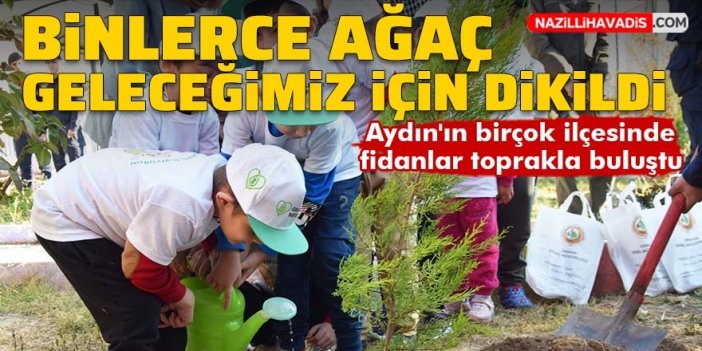 Aydın'da binlerce ağaç geleceğimiz için dikildi