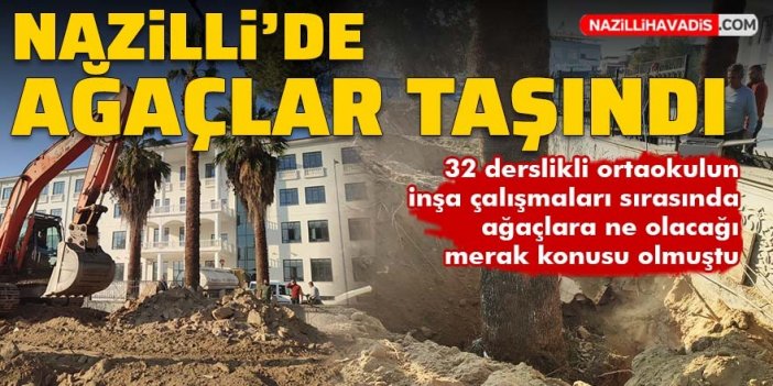 Nazilli’de okul inşaatı için ağaçlar taşındı