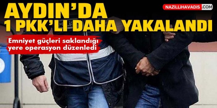 Aydın'da terör örgütü PKK üyesi şahıs yakalandı