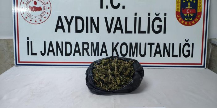 Nazilli'de jandarmadan uyuşturucu operasyonu: 1 gözaltı