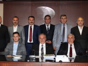 Zeytin ve Zeytinyağı Sektöründe Barış Rüzgarları Esiyor