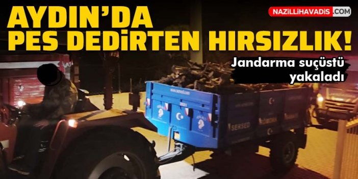 Aydın'da pes dedirten hırsızlık! Traktör ve odunları çaldı, suçüstü yakalandı