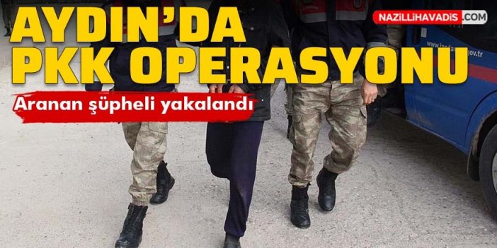 Aydın'da terör örgütü PKK operasyonu