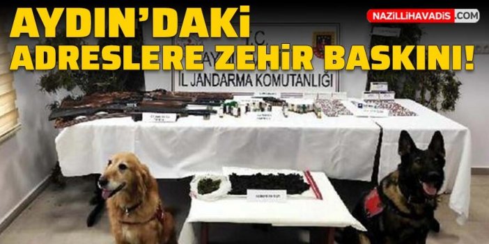 Aydın'daki adreslere zehir baskını!