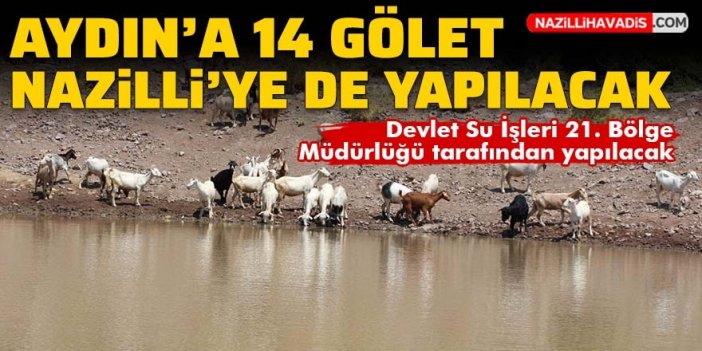 Aydın’a 14 gölet yapılacak! Nazilli de içlerinde var