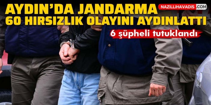 Aydın’da jandarma 60 hırsızlık olayını aydınlattı