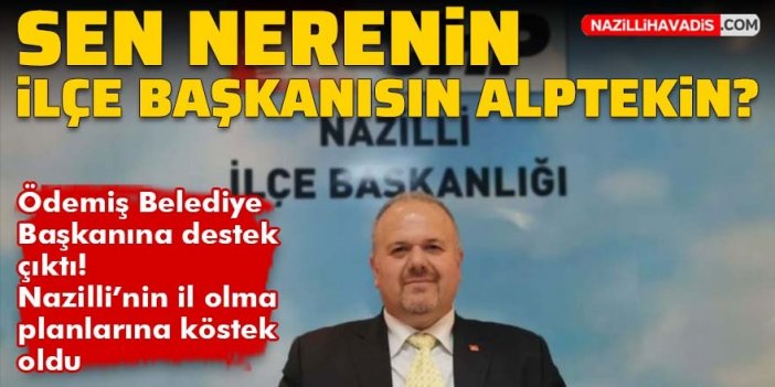 Sen nerenin ilçe başkanısın Alptekin?