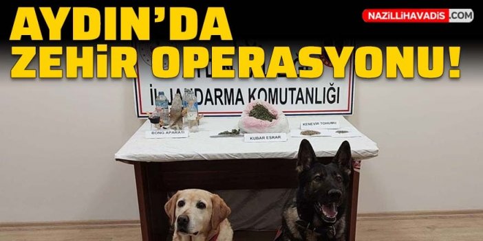 Aydın'da zehir operasyonu