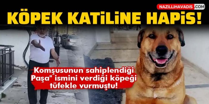 Köpek katiline hapis!