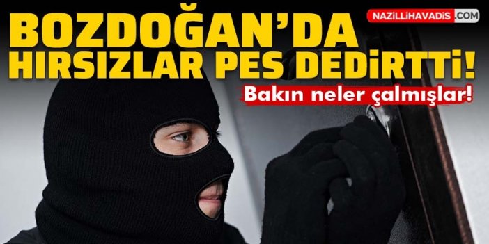 Bozdoğan'da eve giren hırsızlar pes dedirtti!