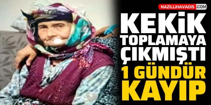 Kekik toplamaya çıkan yaşlı kadın her yerde aranıyor