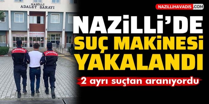 Nazilli'de suç makinesi yakalandı