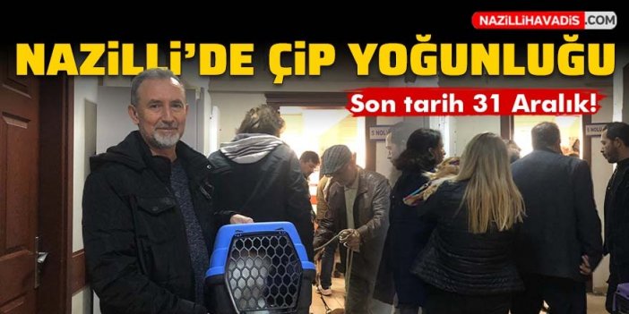 Nazilli’de evcil hayvanlar için çip yoğunluğu