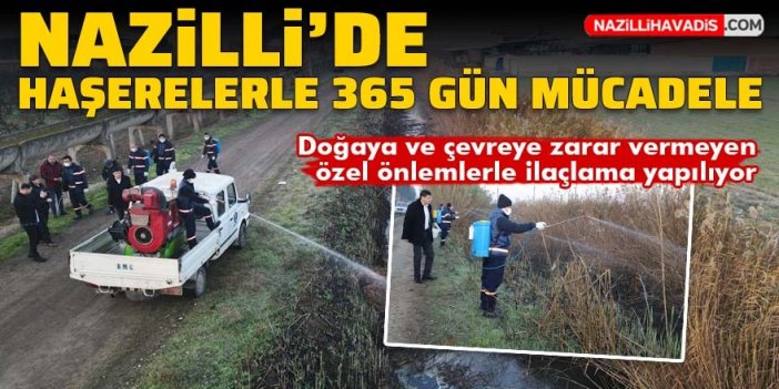 Nazilli'de haşerelerle 365 gün mücadele