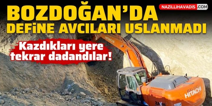 Bozdoğan'da define avcıları uslanmadı