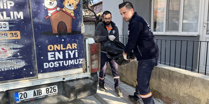 Av köpeğini acımasızca diri diri yaktılar