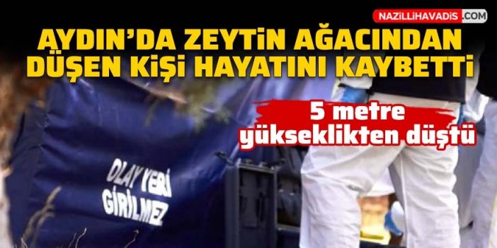 Aydın'da zeytin ağacından düşen kişi öldü